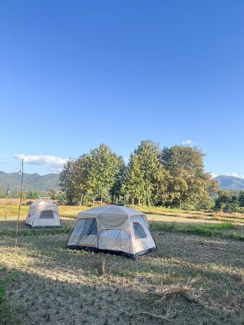 Camp View Mountain — Tent in the Rice Fields in Pai