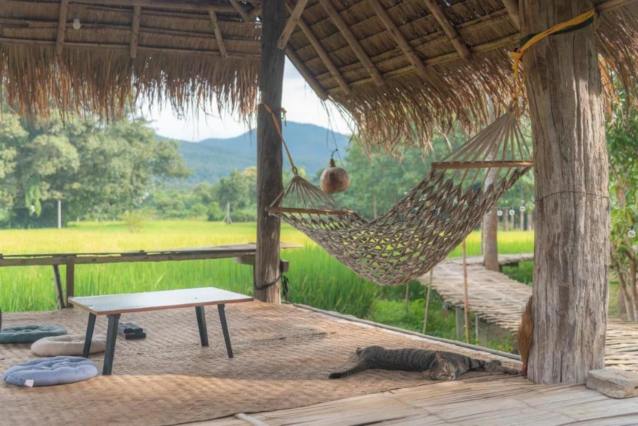 Camp View Mountain, Pai — bamboo thatched sala with a woven hammock, low table and sleeping cat looking out over the rice fields to the mountains