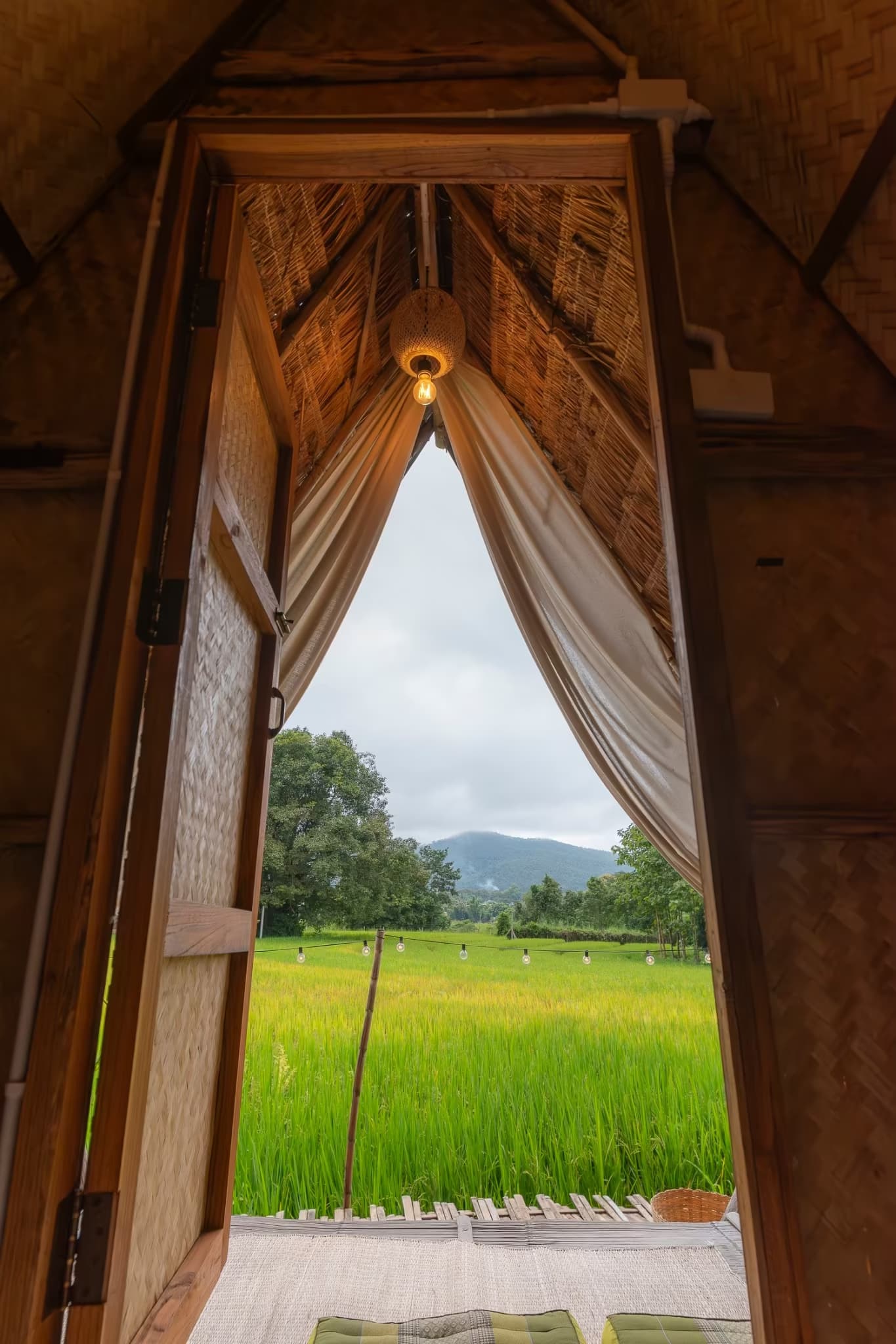 Rice-field homestay bungalow at Paddy Fields Haven in Pai — rice-field view
