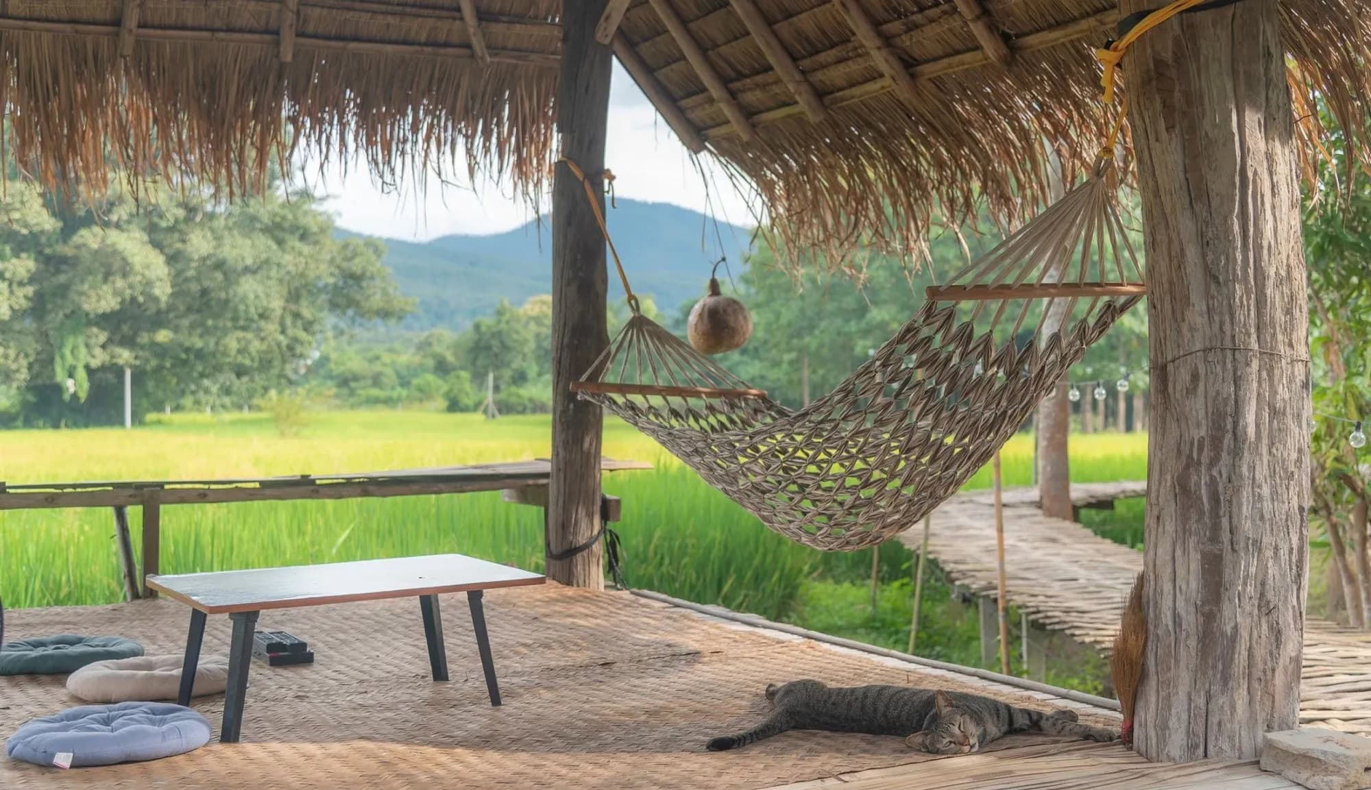 Green rice fields and mountains in Pai, Thailand
