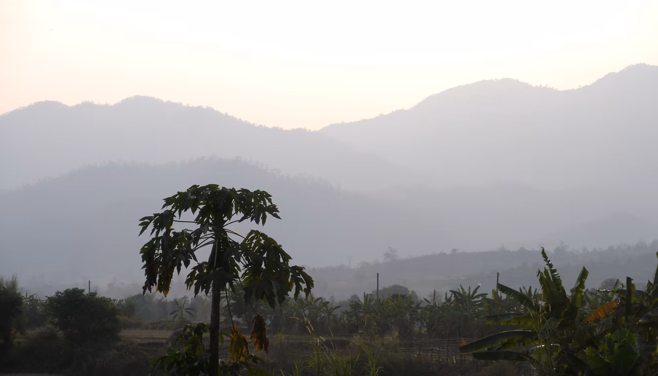 Is Land Split Pai Worth It? Honest Local Guide
