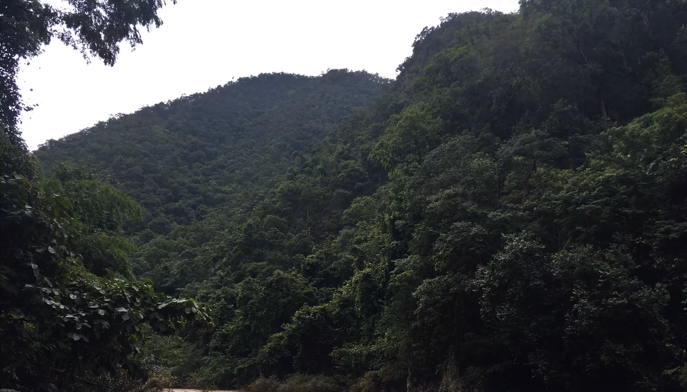 Calm shallow Pai River with gravel bed, the water read during bamboo rafting pai