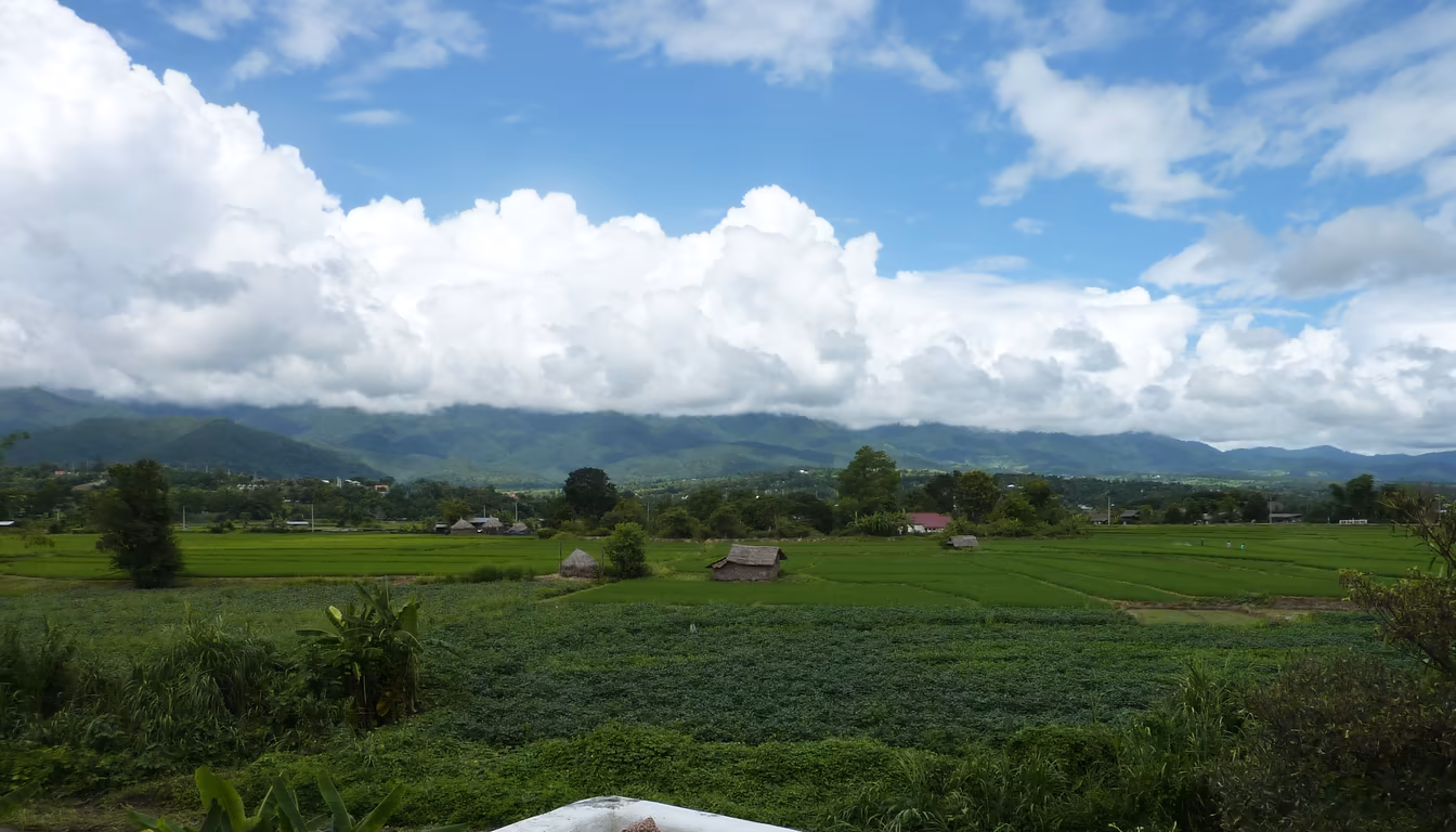 Green rice fields ringed by hills near Pai town, location of boutique hotel pai design stays