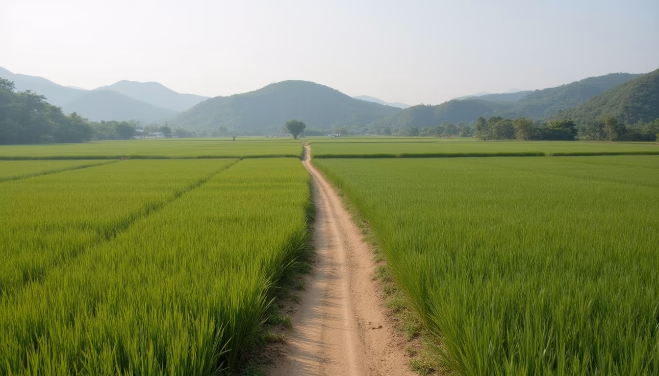 Clear dry mountain skies and warm afternoon light typical of Pai in February (illustration)