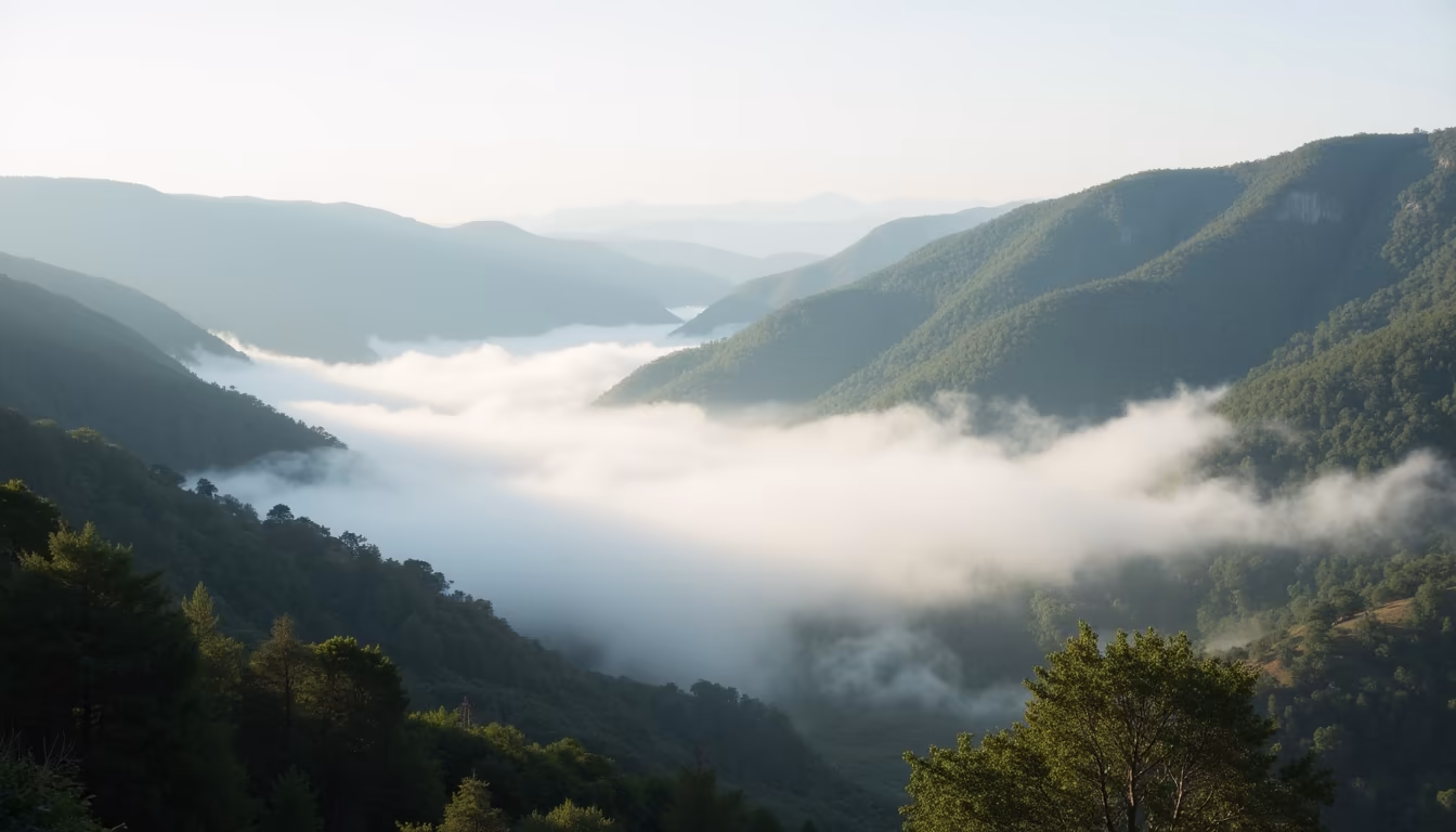 A valley filled with morning mist, the sea of fog Pai viewpoints are known for (illustration)