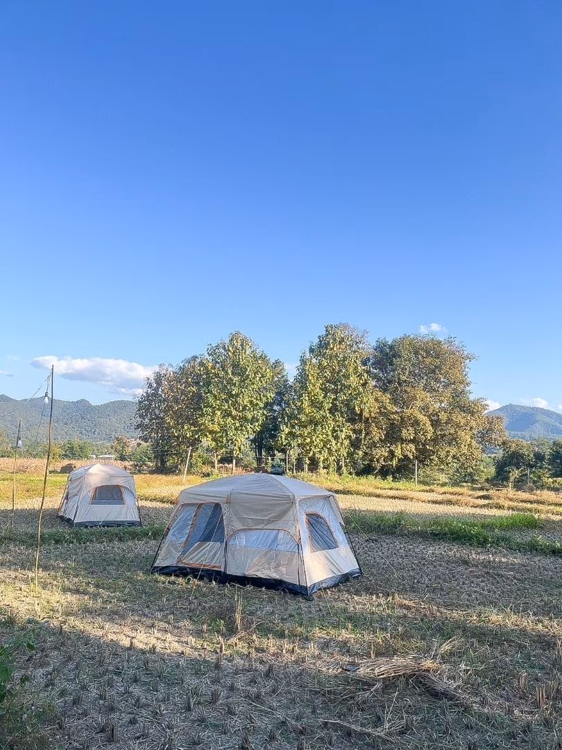 Camp View Mountain — Rice-Field Tent in Pai