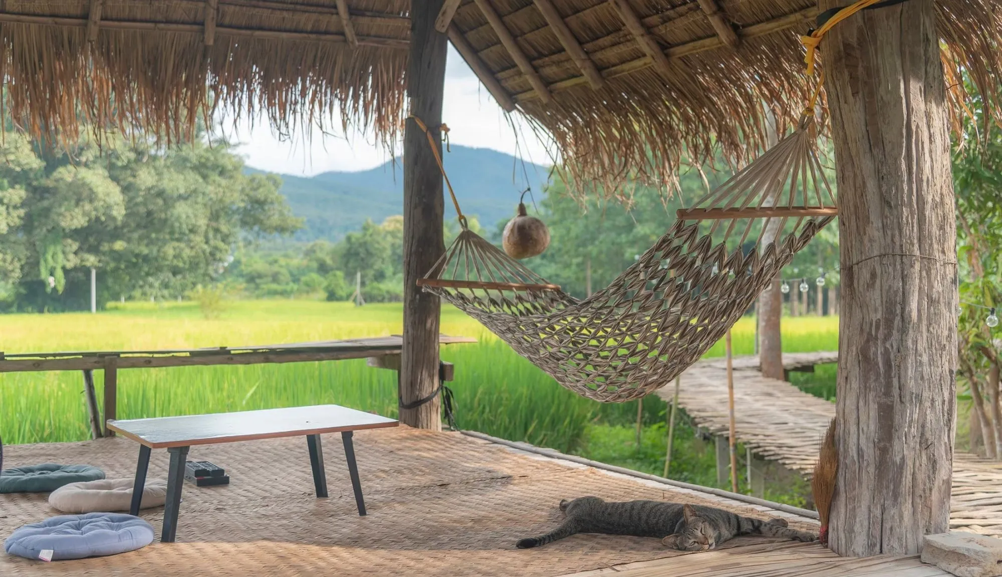 Green rice fields and mountains in Pai, Thailand